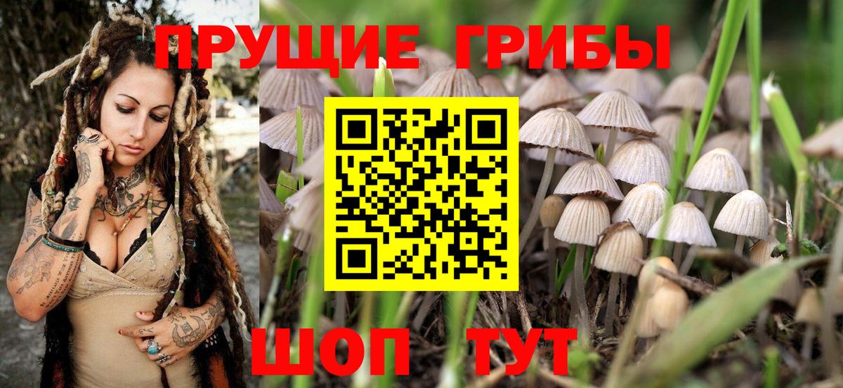 Бутират Светлоград