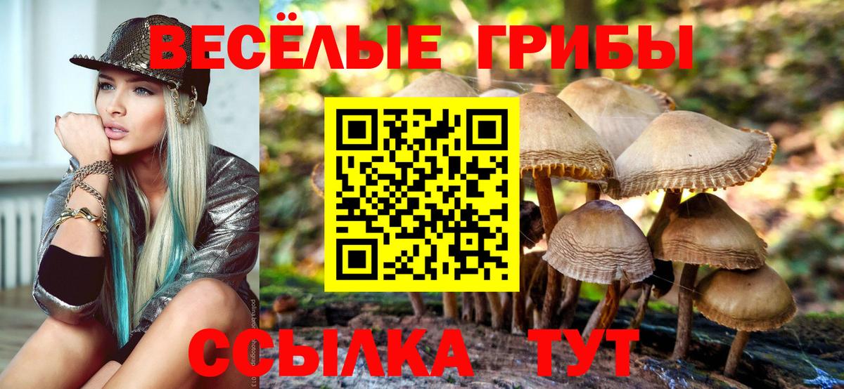 Псилоцибиновые грибы ЛСД  Псилоцибиновые грибы Cubensis  Светлоград  Вход с VPN 